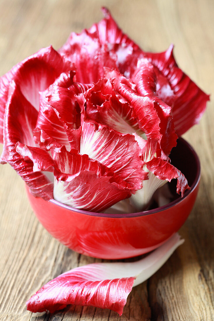 Radicchio in a red bowl (close-up)
