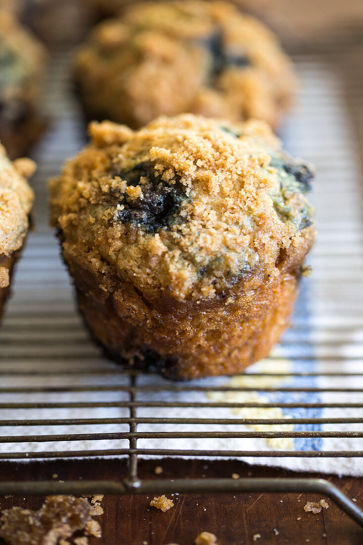 Heidelbeermuffins auf Abkühlgitter