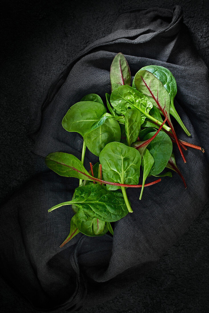 Junger Salat auf schwarzem Tuch