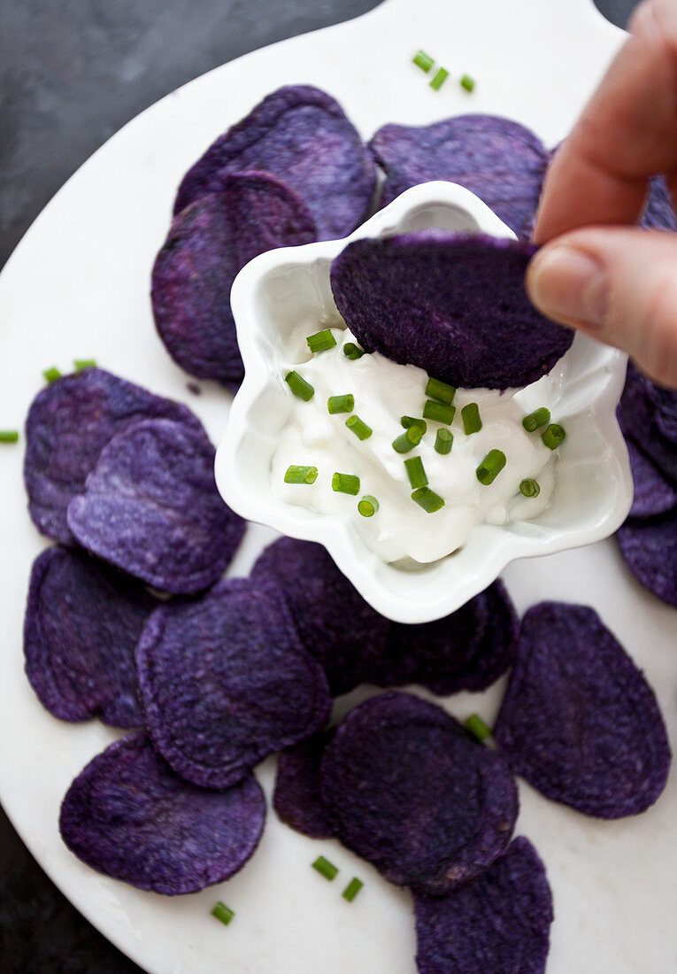 Frauenhände dippen lila Kartoffelchip in Tzatziki mit Schnittlauch