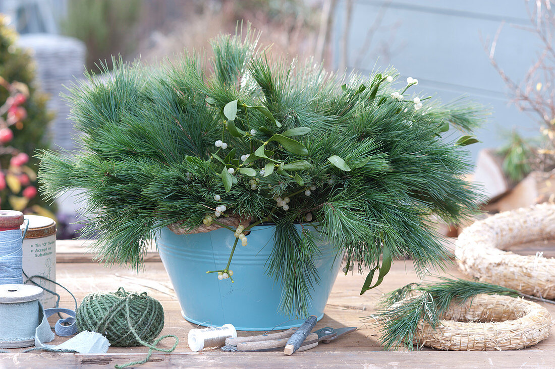 Winter Bouquet Of Pine And Mistletoe