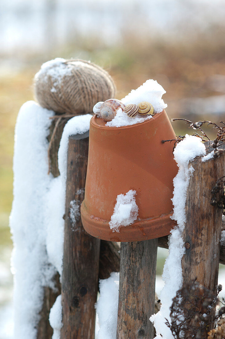 Clay Pot With Snail Shed And Snow On Garden Fence