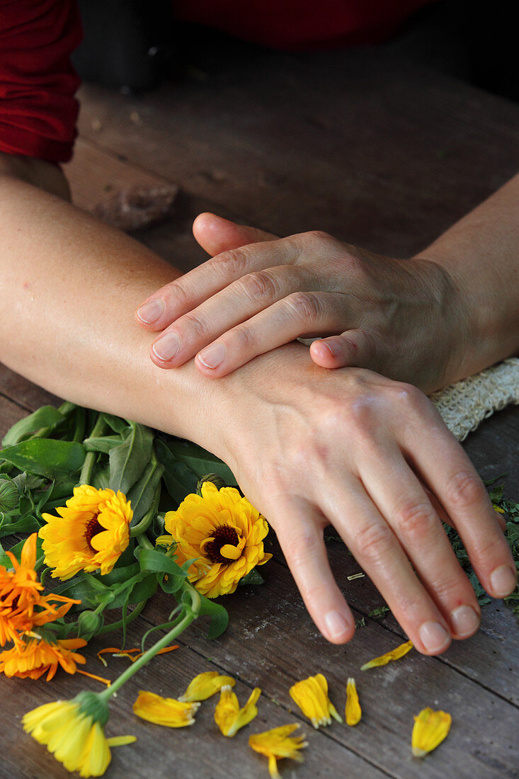 Gepflegte Frauenhände über Ringelblumen auf Holztisch