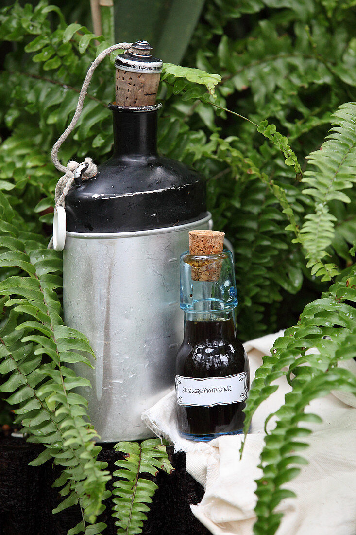 A small bottle of ribwort tincture next to an old flask