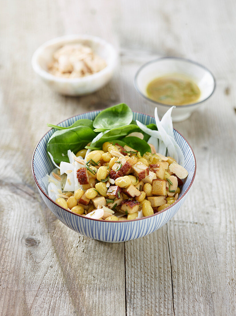 Zolfino-Bohnensalat mit geräuchertem Tofu, Fenchel und Spinat