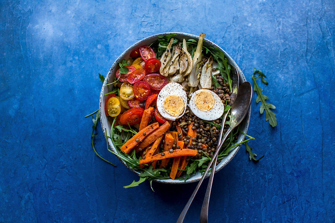 Lentil salad with carrots, fennel, tomatoes and egg