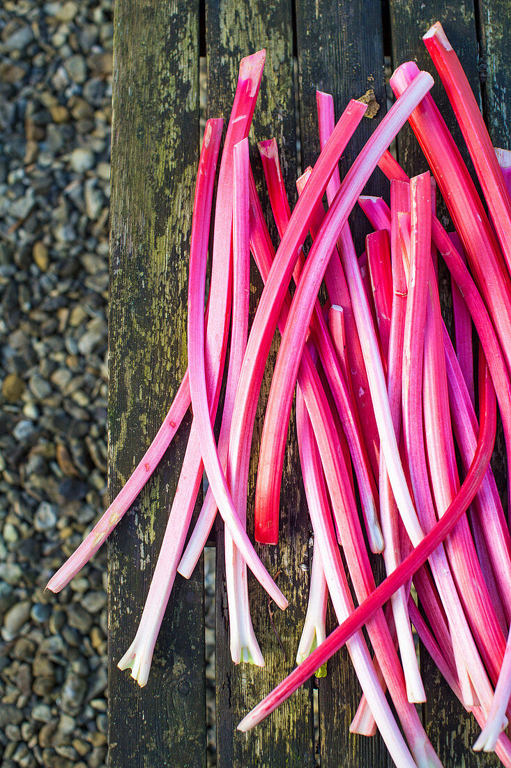 Rhubarb stakes on wooden bench