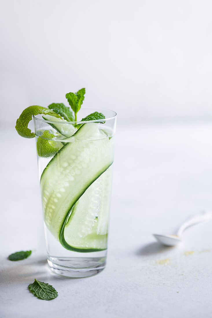 Gin and tonic with cucumber and mint