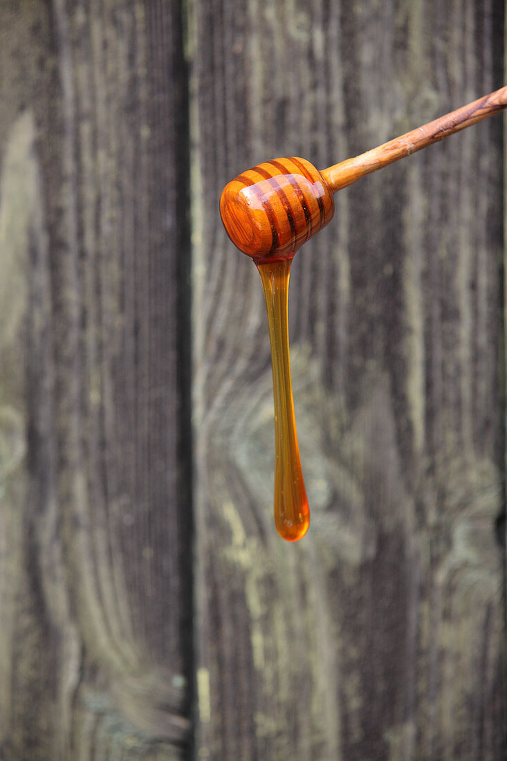 Liquid honey runs off a honey dipper