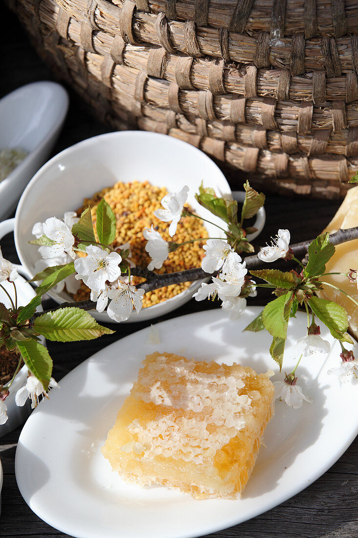 A piece of honeycomb, bee pollen, and a cherry tree branch