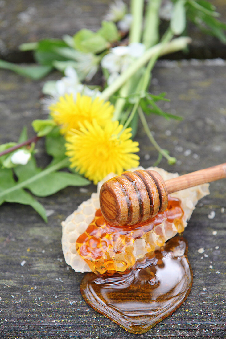 Flüssiger Honig auf Honigwabe und Honigheber