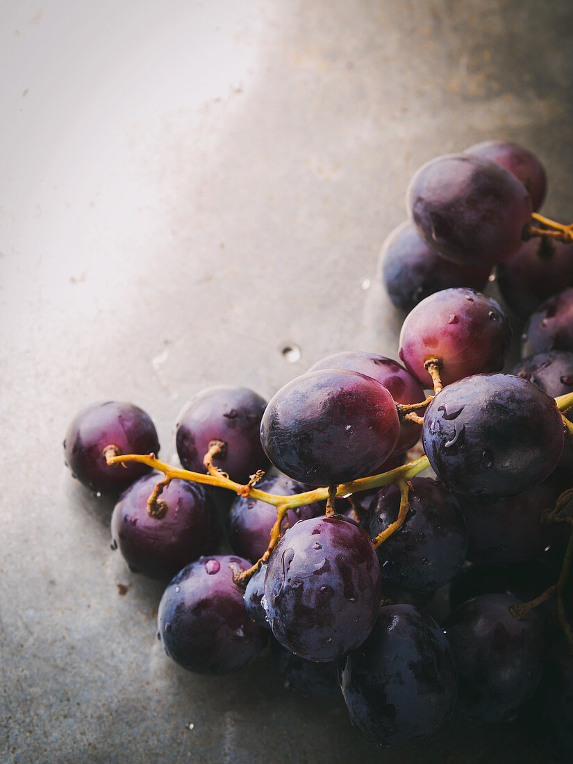 Fresh dark grapes on metal tray background