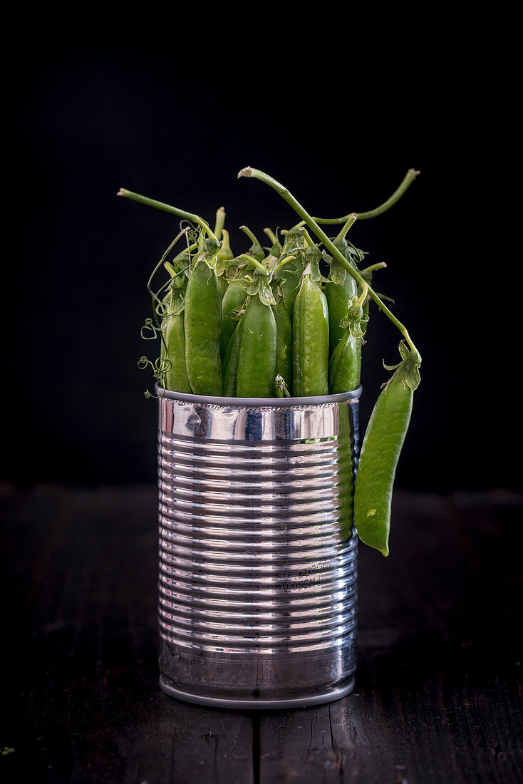 Pea Pods in a Metal Tin