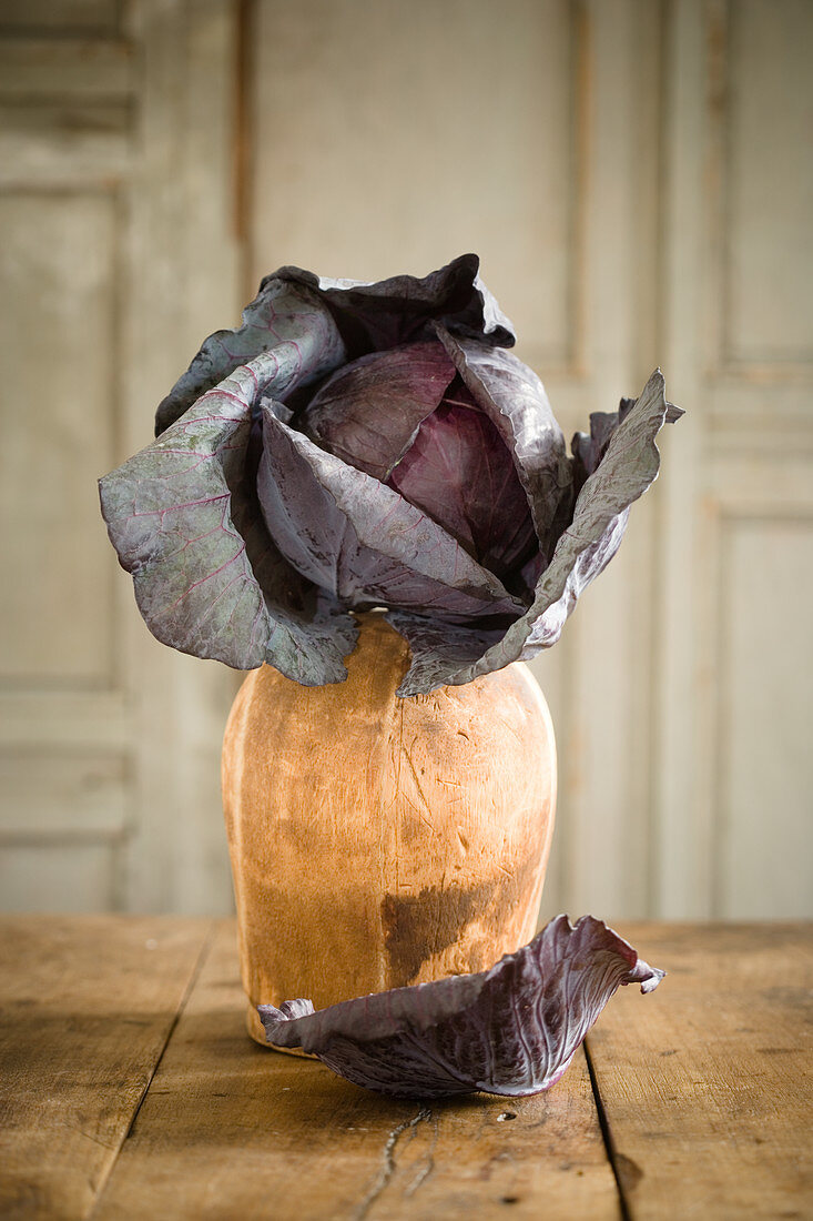 Red Cabbage on Table