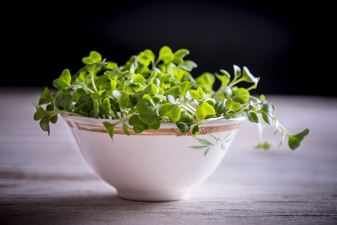 Cress in a bowl