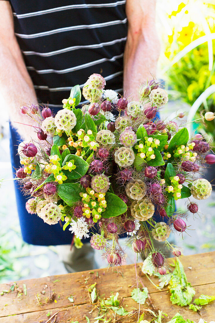 Strauß mit den Samenständen der Jungfer im Grünen (Nigella damascena)