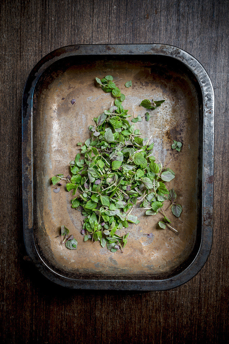 Cress in a rusted tray