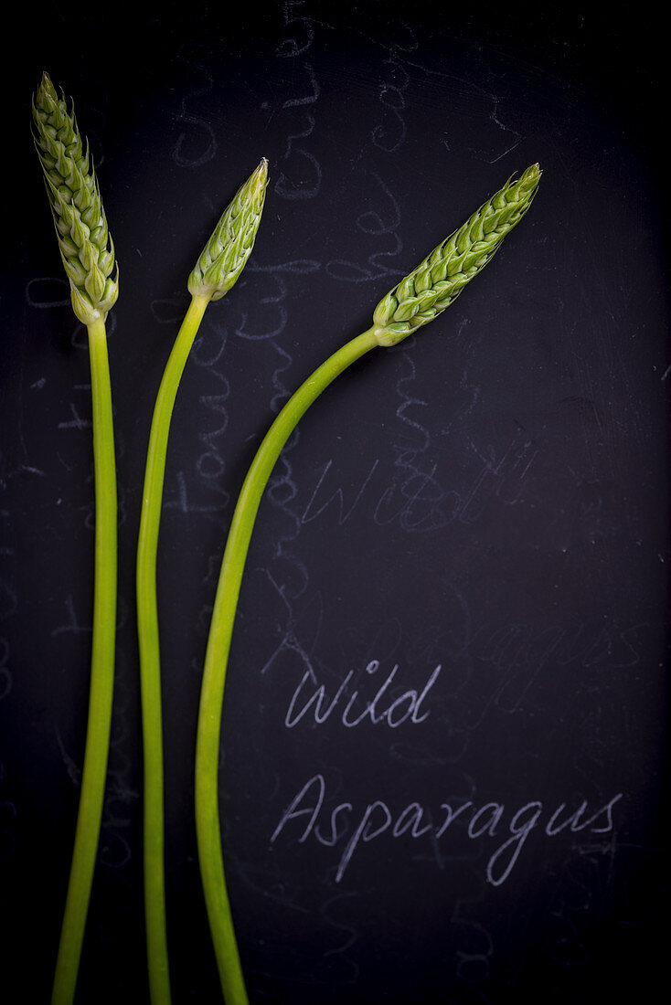 Wild Asparagus on a black slate