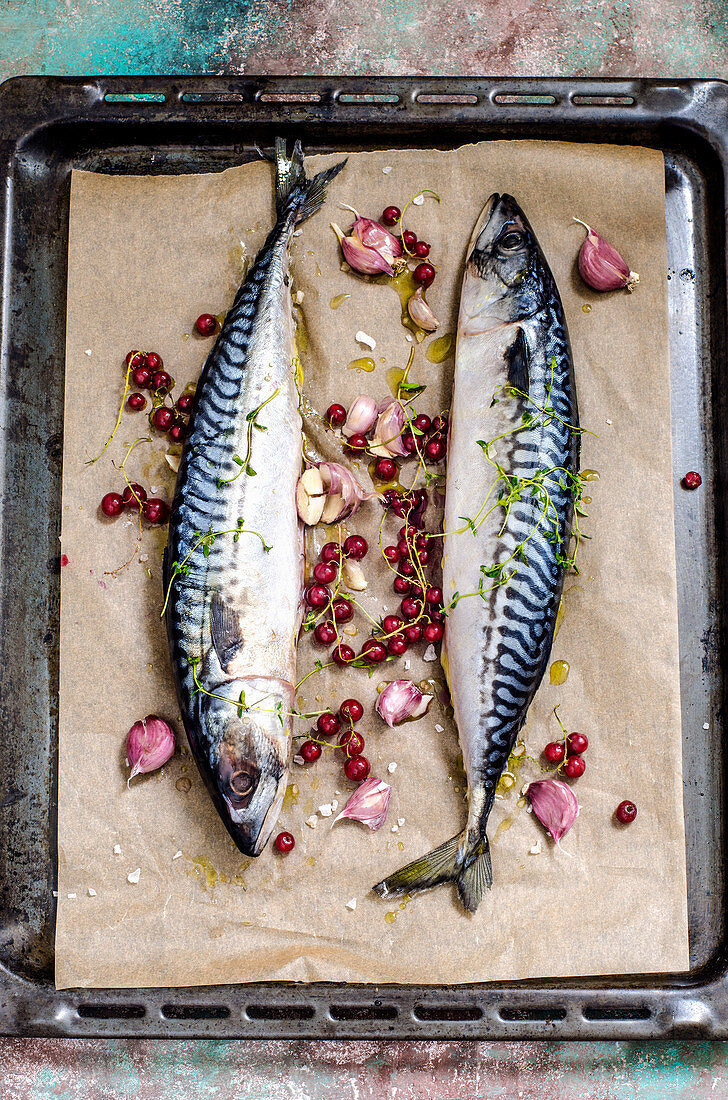 Fresh Mackerel Fish with Herbs and Lemon … – License Images