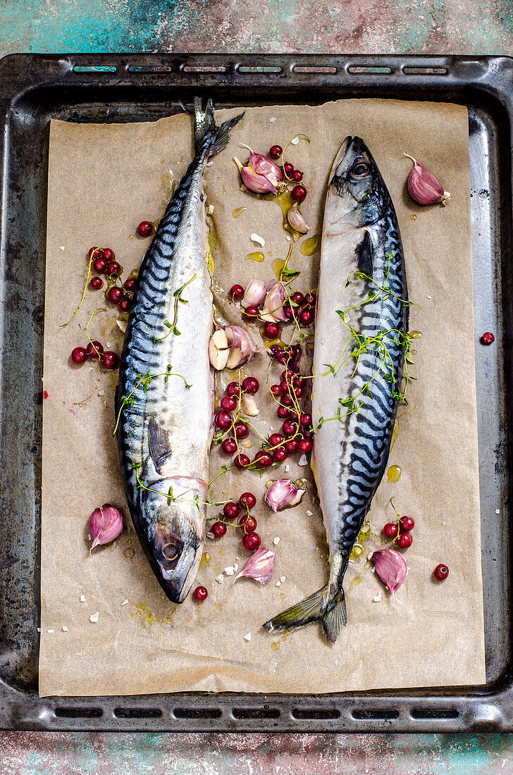 Frische Makrelen mit roten Johannisbeeren und Knoblauch auf Backblech