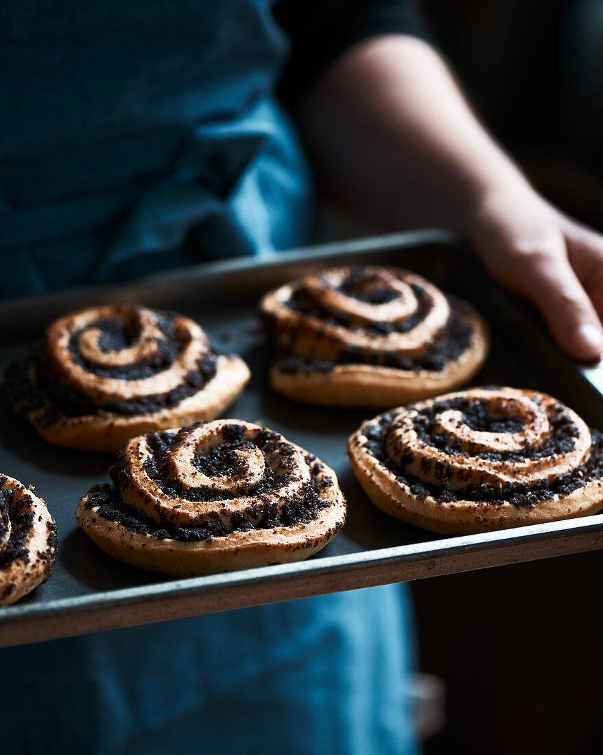 Cinnamon rolls with poppy flower seed on a baking plate