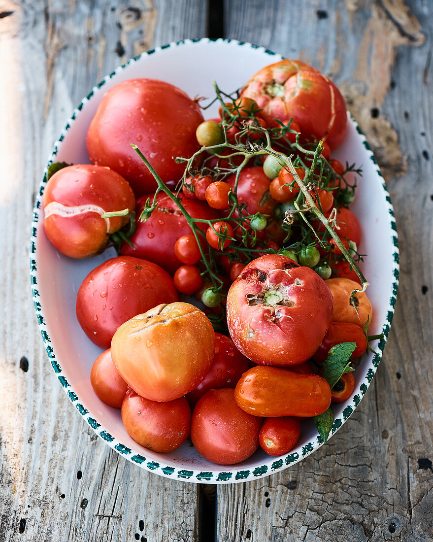 Verschiedene Heirloom Tomaten in Keramikschüssel