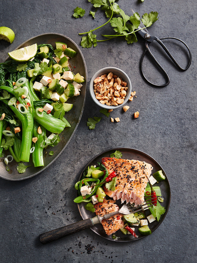 Gebratener Lachs mit Sesam, dazu Pak Choi mit Erdnüssen, Chili, Tofu und Gurke