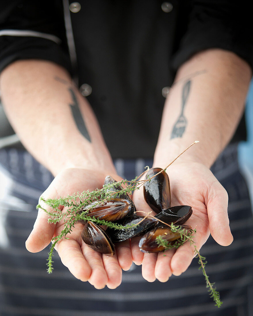 Hands holding mussels