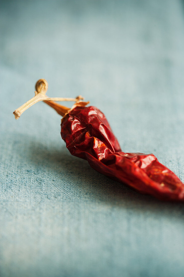 A dried red chilli pepper