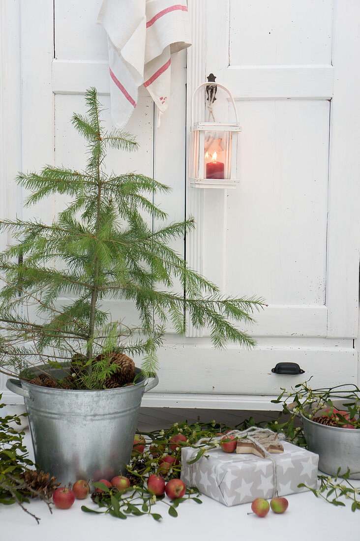 Small Christmas tree planted in bucket and decorated with mistletoe, apples, lantern and presents