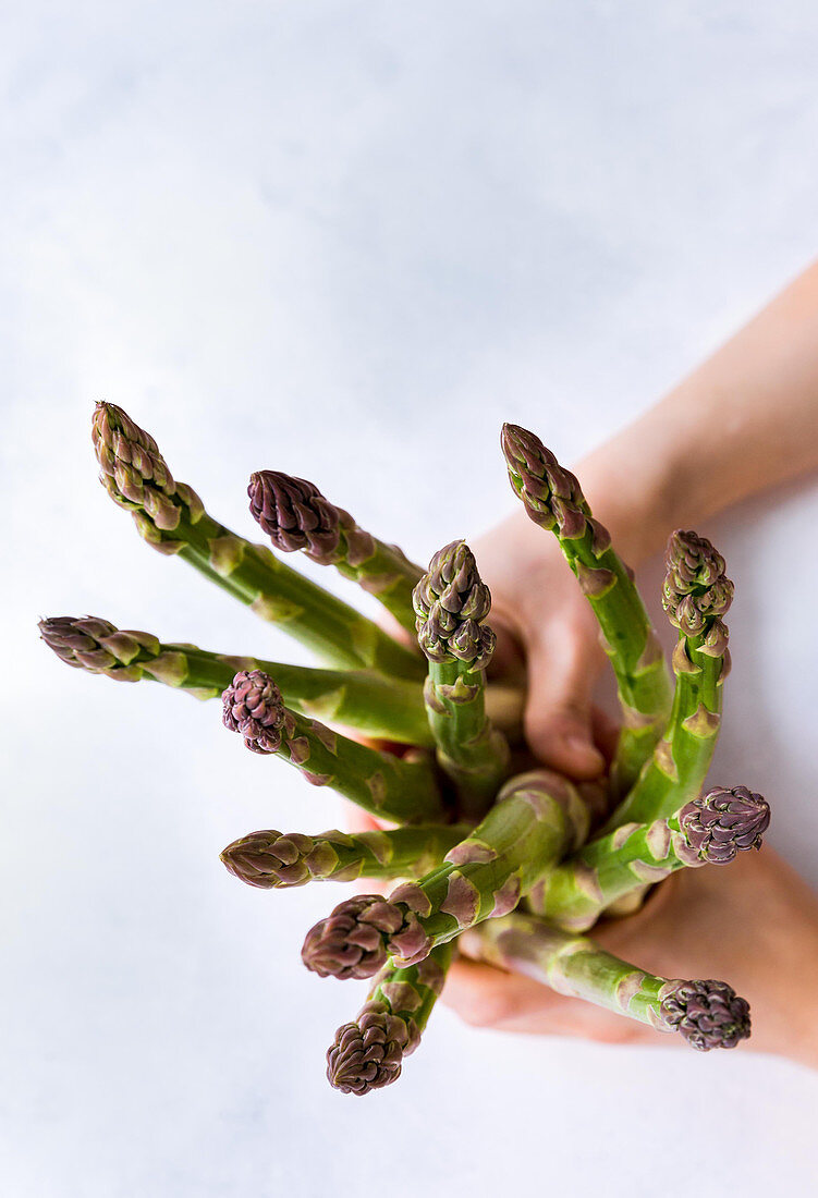 Hands holding green asparagus spears