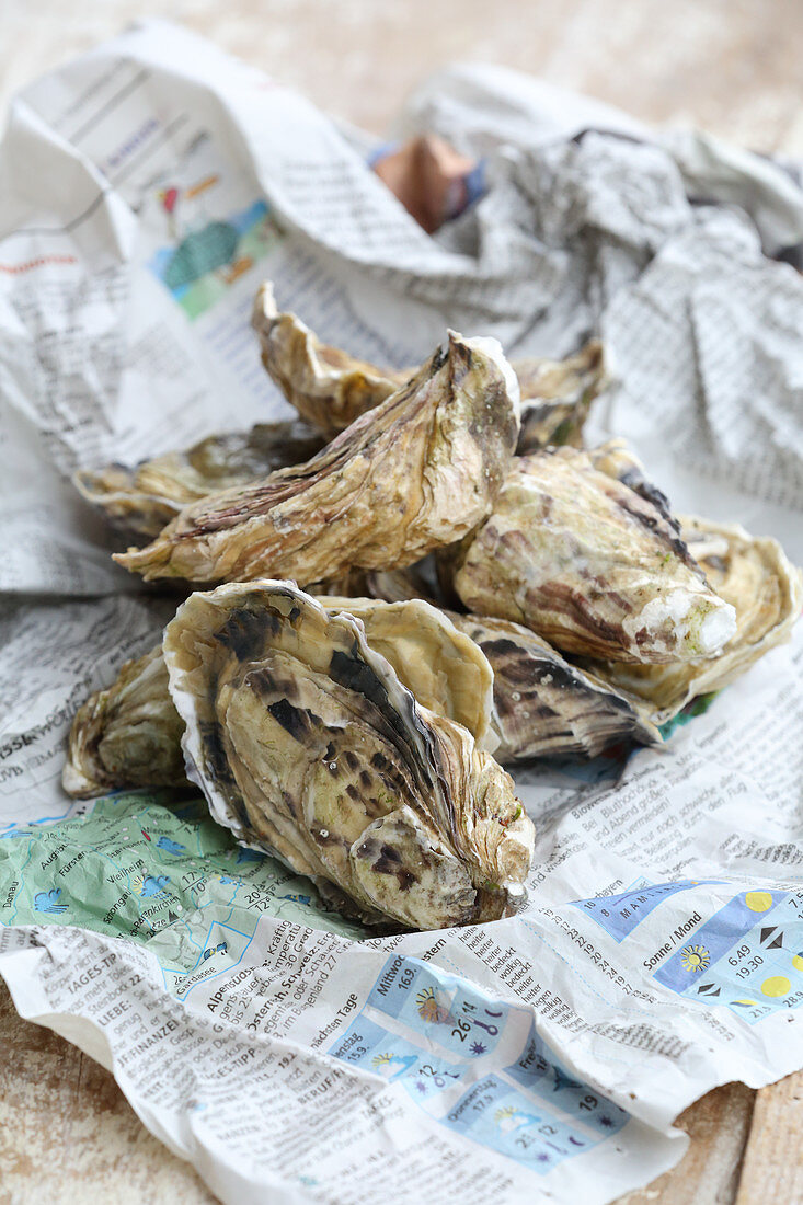 Fresh oyster on a piece of paper