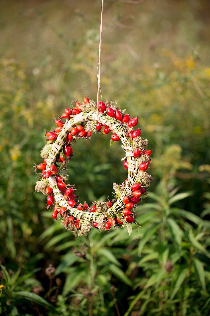 Wreath of rose hips in garden