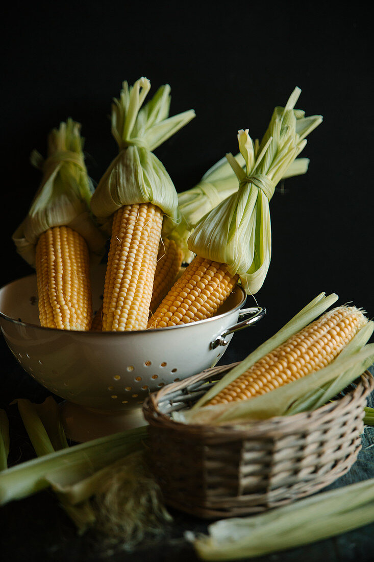 Corncobs in a sieve and a basket