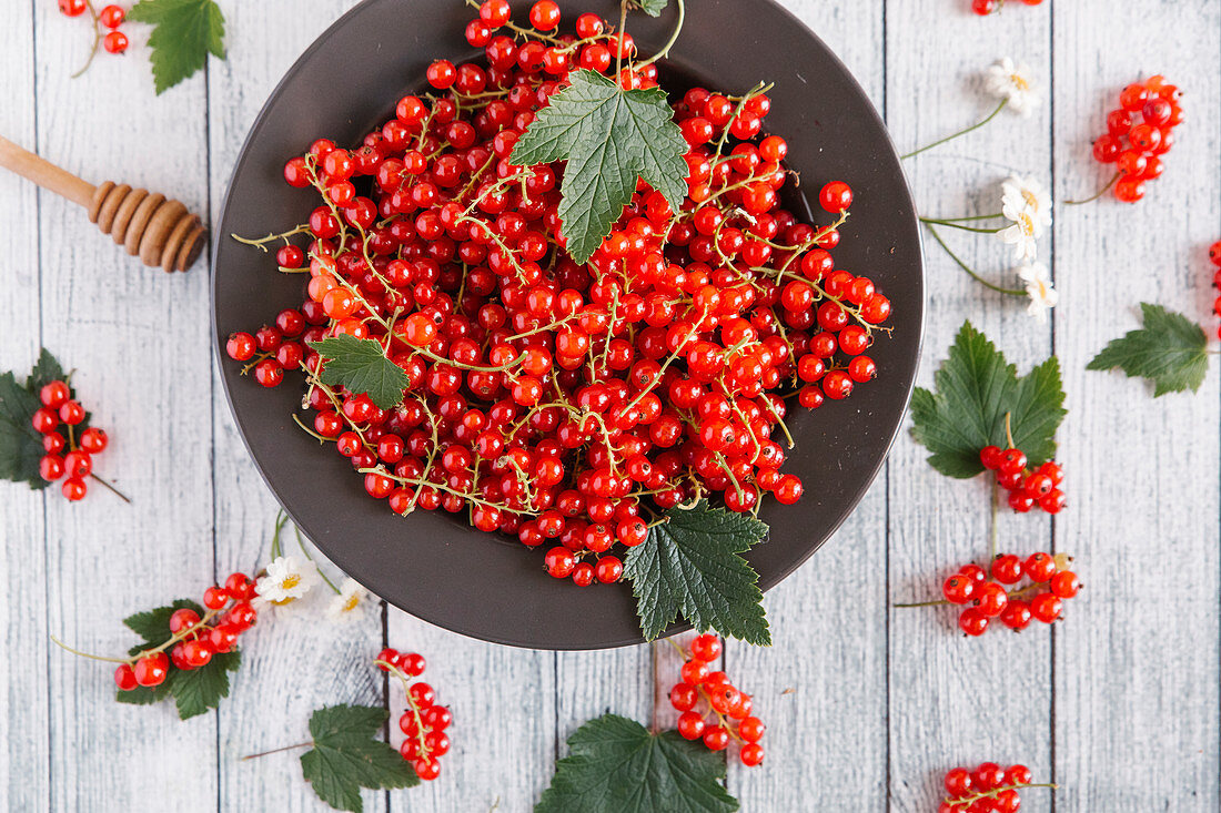 Redcurrants with leaves on a dish