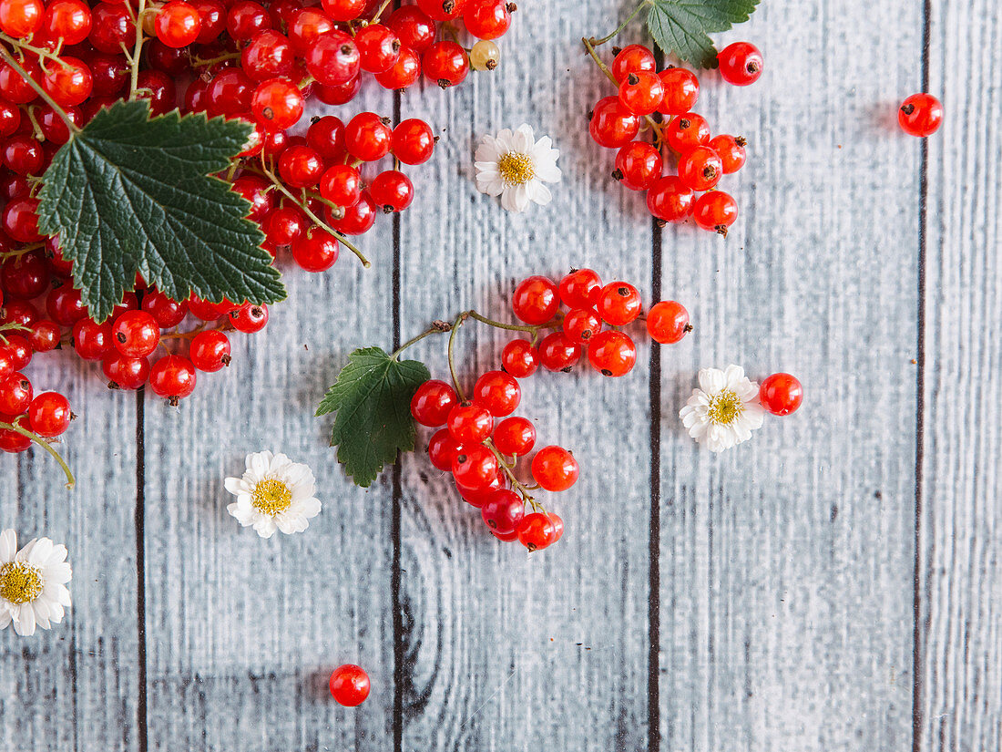 Redcurrants with leaves and flowers on a wooden background