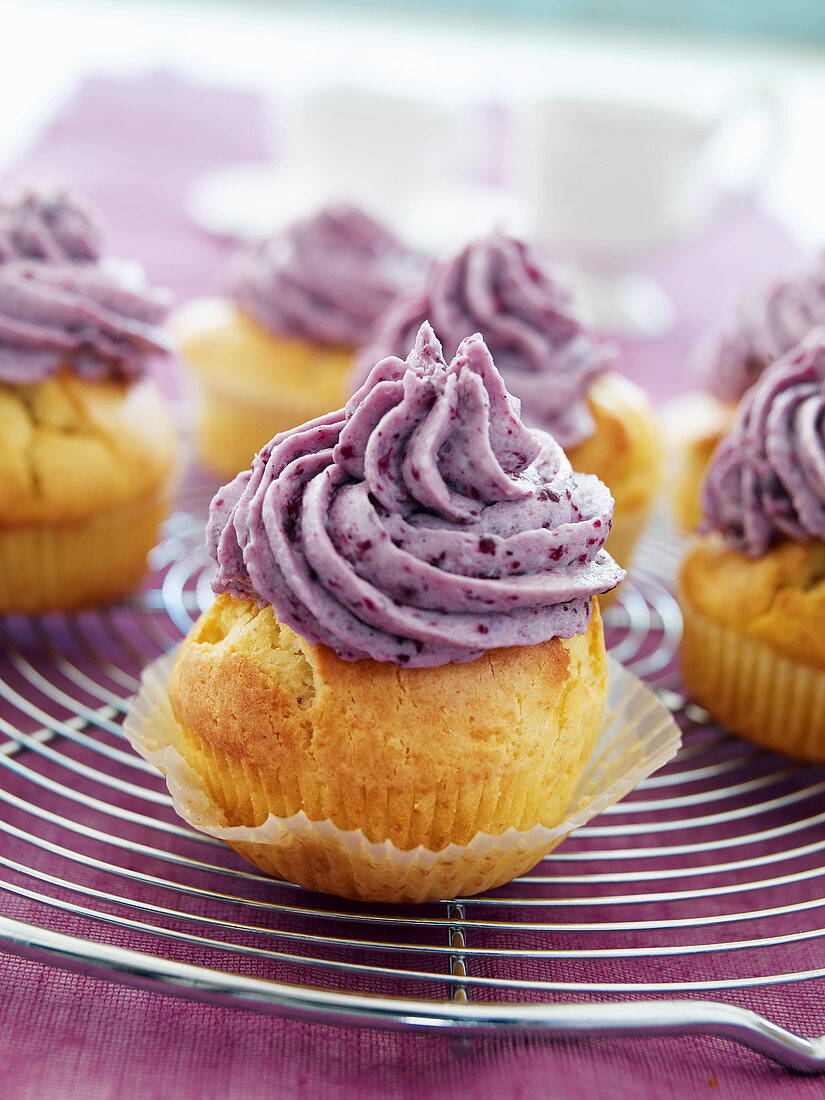 Cupcakes with blueberry cream