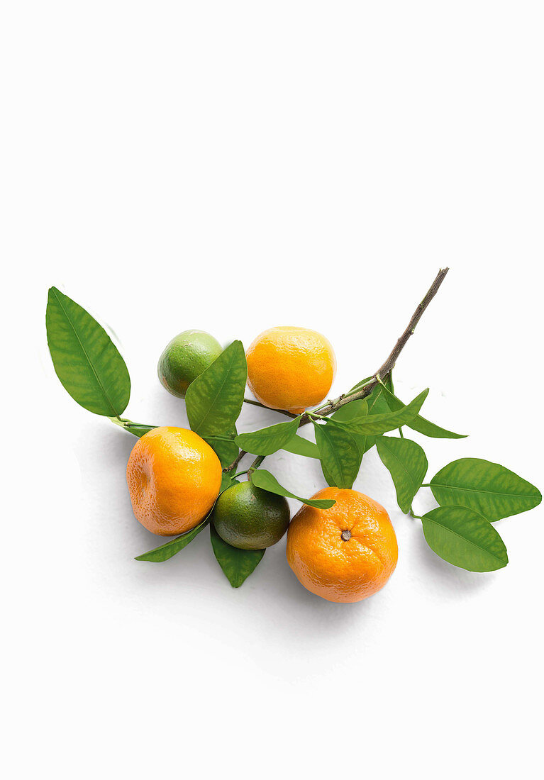 Mandarines