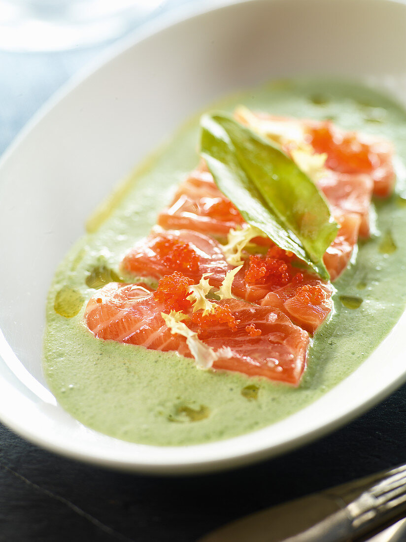 Raw marinated wild salmon on sorrel cream