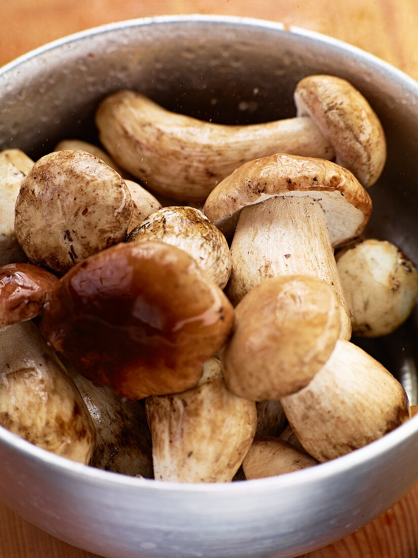 A bowl of fresh porcini mushrooms