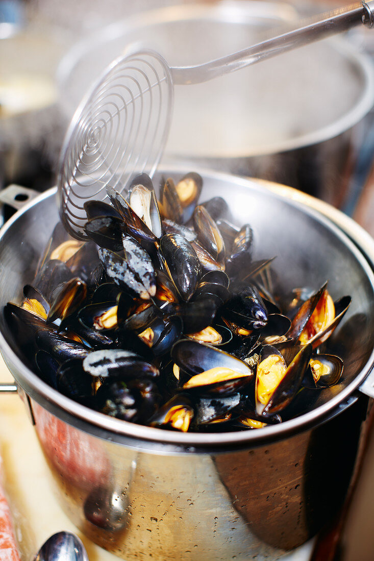 Steamed mussels