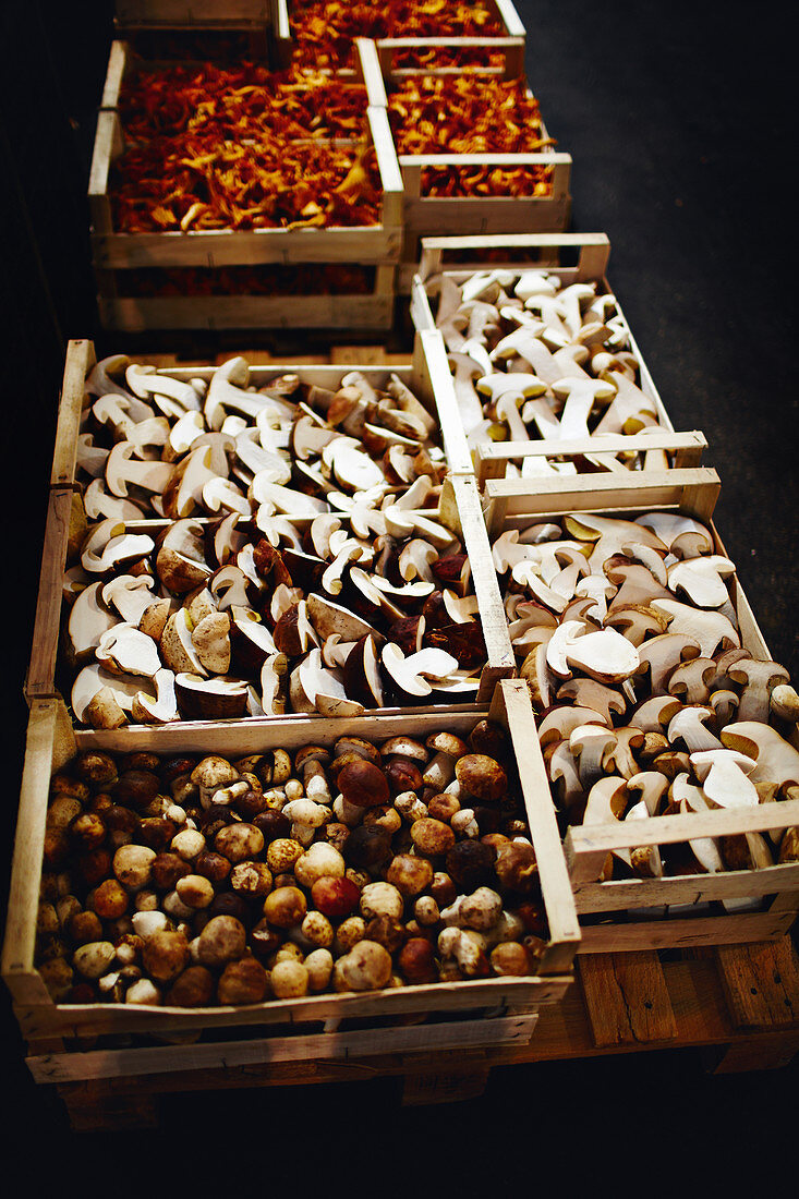 Freshly picked mushrooms at a market in wooden baskets