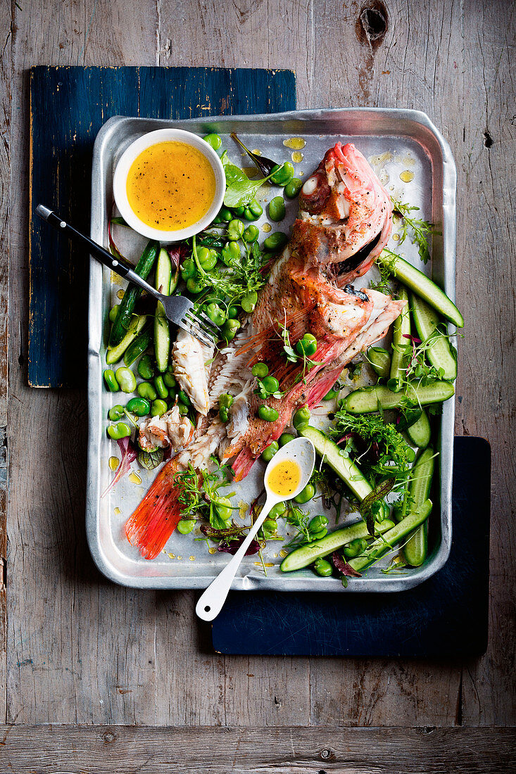 Ocean perch with broad bean and cucumber salad