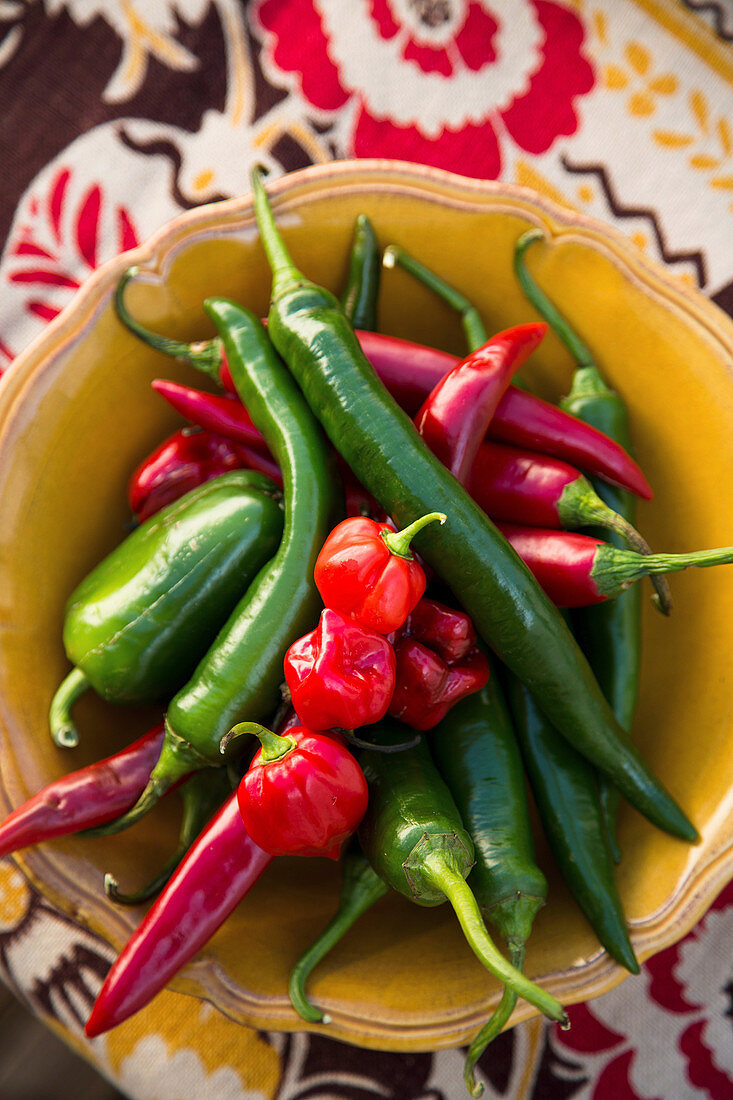 Bowl of chillies