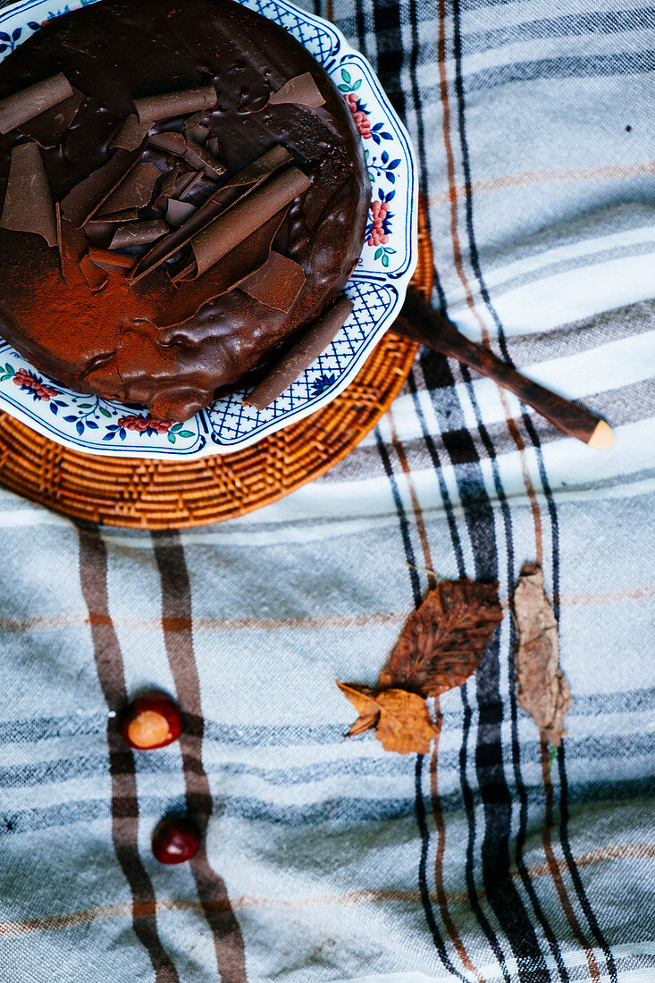Autumn chocolate cake with leaves