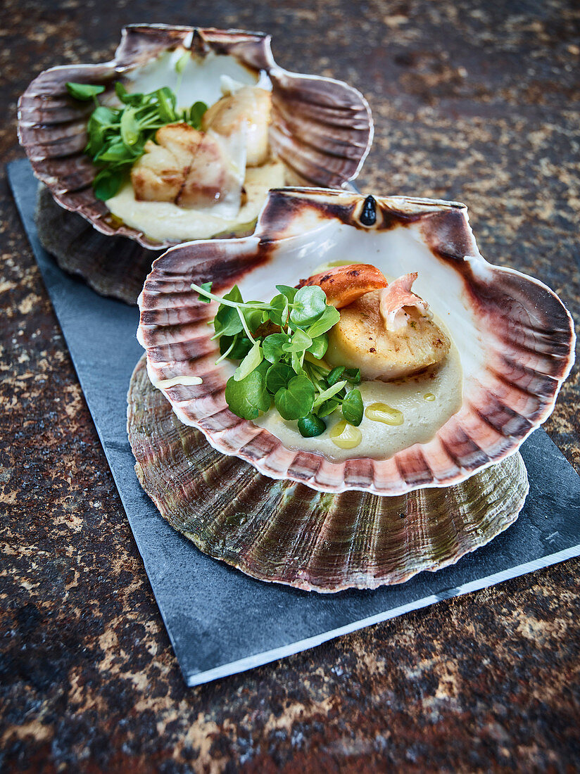 Scallops with bacon, hummus and watercress