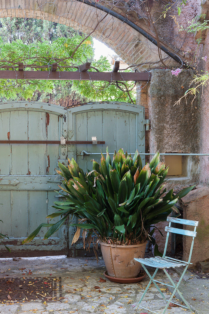 Gartenstuhl vor einer Strelitzie vor einem Tor im mediterranen Hof