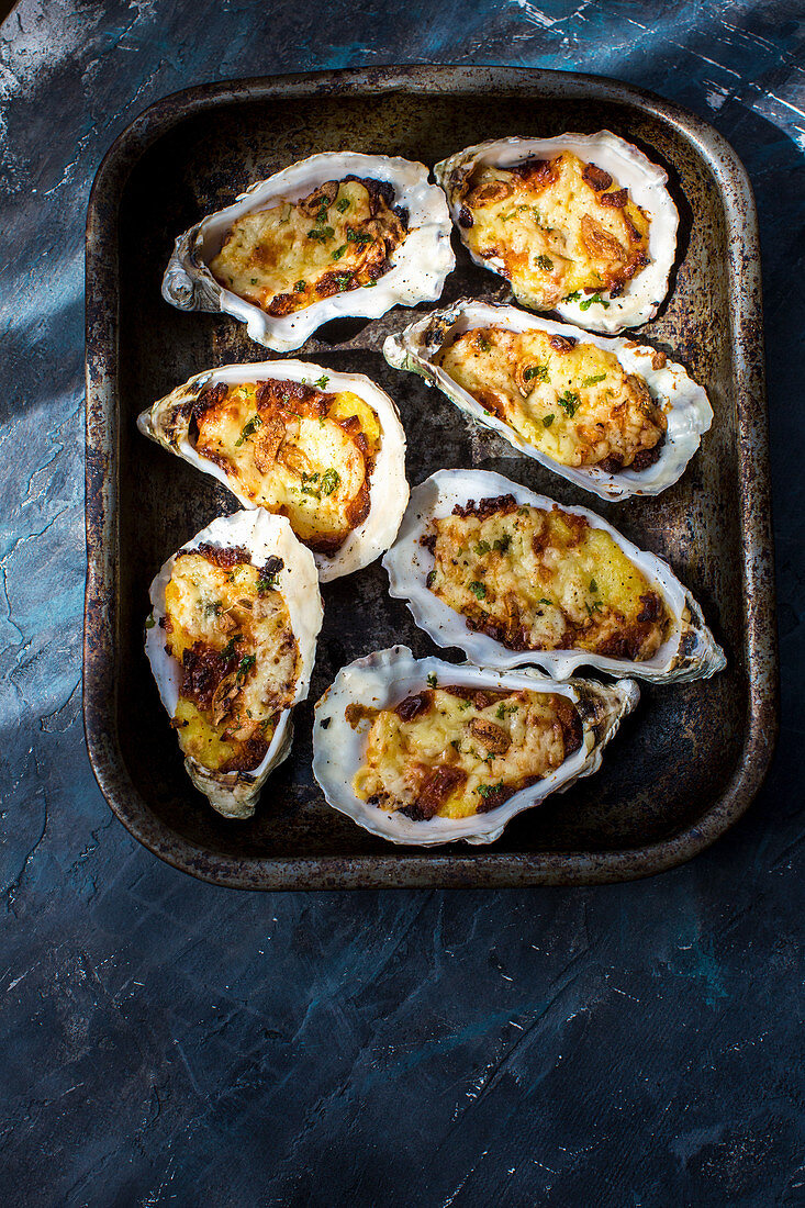 Grilled oysterstopped with bechamel sauces grated cheese, sliced garlic and parsley