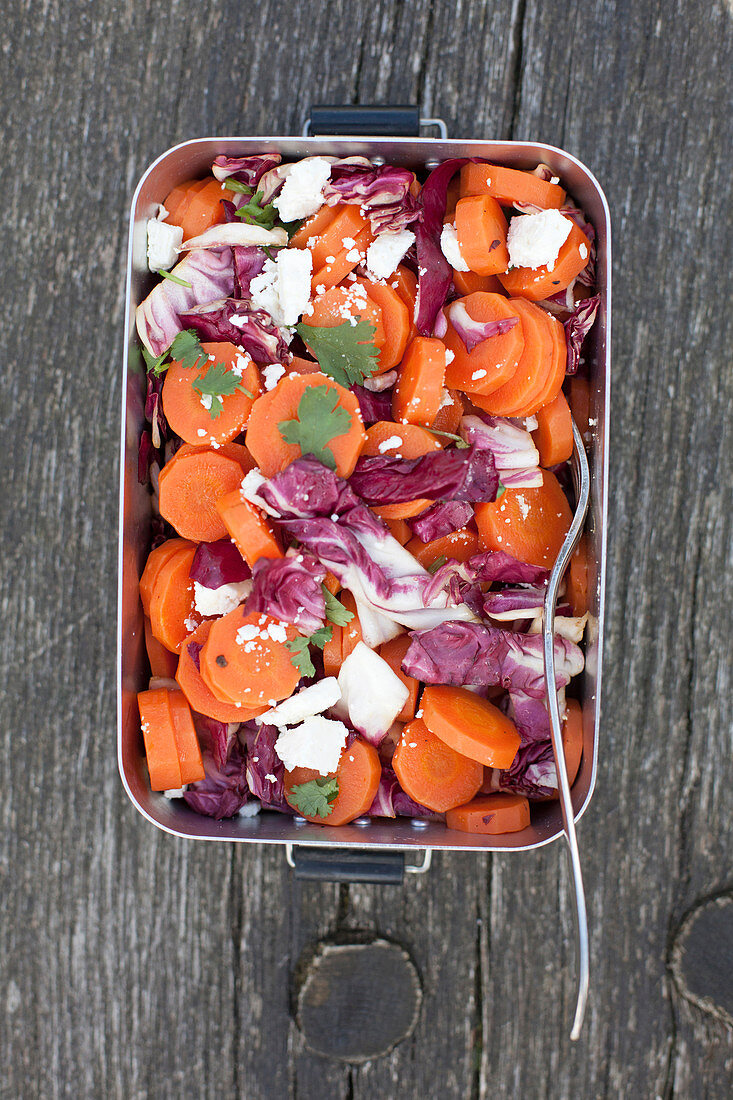 Salad with radicchio, carrots and sheep's cheese