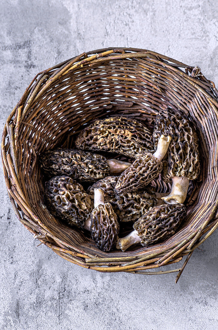 A basket of morel mushrooms